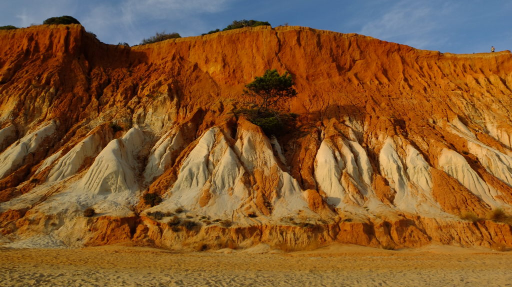 Des agaves en Algarve