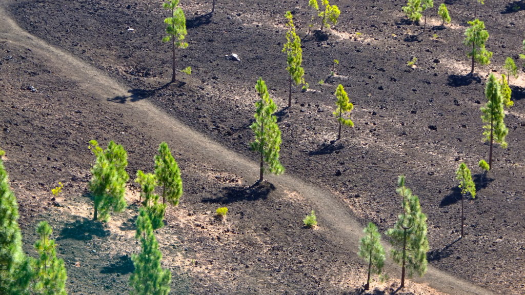 Tenerife, semaine 2