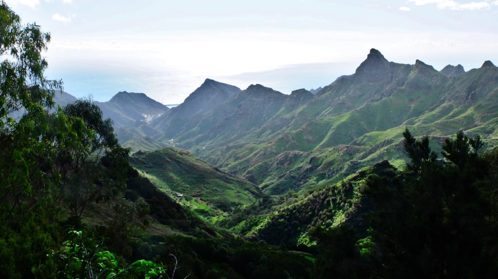 Le Parc rural de l’Anaga